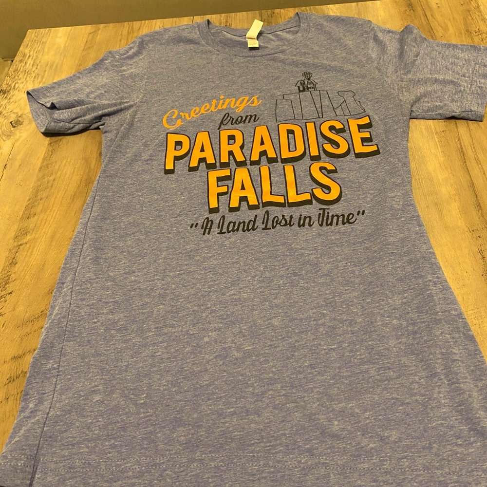 Disney graphic tee